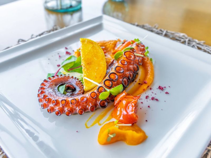 Octopus