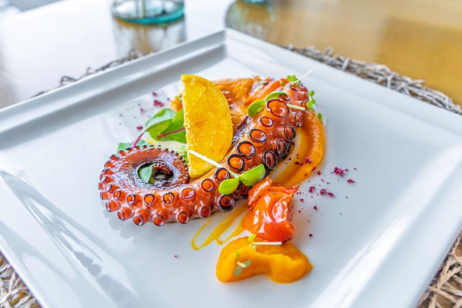 Octopus